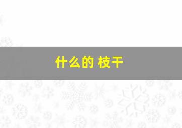 什么的 枝干